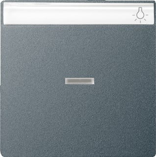 Gira - Systeem 55 OUD Bed.element / centr.pl. schakelmat. Wip Schak Tk Ant