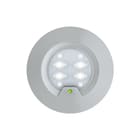 Eaton Blessing - RoundTech Noodverlichtingsarmatuur rt2rseo200wls1hip