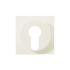 Jung - AS500 Bed.element / centr.pl. schakelmat. Cpl Univ Sleutel
