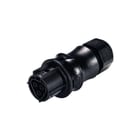 Wieland - RST Conn. v insteekbare gebouwinstall. Stek 9603141531