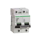 Schneider Electric Merlin Gerin - C120 N Installatieautomaat autom c120n 2p b100a