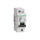 Schneider Electric Merlin Gerin - C120 N Installatieautomaat autom c120n 1p d80a