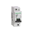 Schneider Electric Merlin Gerin - C120 H Installatieautomaat autom c120h 1p d100a