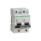 Schneider Electric Merlin Gerin - C120 H Installatieautomaat autom c120h 2p d100a