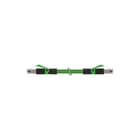 MURR - Patchkabel twisted pair v industrie patchkab 7000743017681500