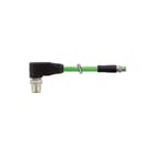 MURR - Patchkabel twisted pair v industrie patchkab 7000863117960300