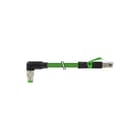 MURR - Patchkabel twisted pair v industrie patchkab 7000897817910790