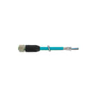 MURR - Patchkabel twisted pair v industrie patchkab 770017581s4w0600