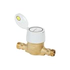 Raminex - Watermeter Rtkd-M-Cc 2,5-165-Dn15