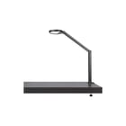 Trilux - Tafellamp 7855659