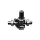 Watts - DRV Reduceerventiel Reducventl 2"-Bui