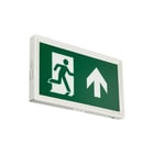 Philips - Noodverlichting Noodverlichtingsarmatuur em155c slim wl exit sign m3