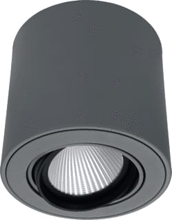 Fosnova - Themis Plafond-/wandarmatuur plfwndarm 2207121000