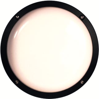 DEFA - Protect 001 Plafond-/wandarmatuur bail prot ring opal 840 1x12w