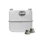 Itron - G Gas verbruiksmeter g25 gasmeter 2     40m3
