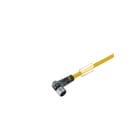Weidmüller - Sensor/actorkabel met connector 1093230500