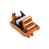 Miniatuur 1