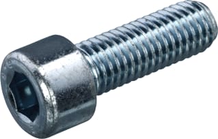 Hoenderdaal - Schroef/bout Stl M5X40 Ds200