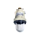 Cooper Crouse-Hinds - Ceag ATEX Explosieveilig armatuur vaste mont. Pendant Lum Exdiic 2X3/4"