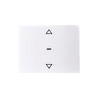 Hager Berker - K.1 Bed.element / centr.pl. schakelmat. bedelem 1v knp pyl k wt
