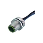MURR - Ronde connector, inbouw (met kabel) M12 Male Flange A