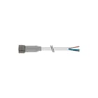 MURR - Connection technology F&B Sensor/actorkabel met connector Kabel M8 Recht 10M