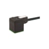 Miniatuur 1