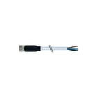 MURR - Sensor/actorkabel met connector M8 Pur 4*0,25 5M