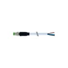 MURR - Sensor/actorkabel met connector M8 Male 0 Kab 3X0.25 3M