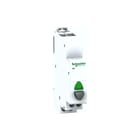 Schneider Electric - Drukknop modulair Drukknp Ibp+Sign.Lmp Gr