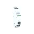 Schneider Electric - Drukknop modulair Drukknp Ibp Grijs 1M