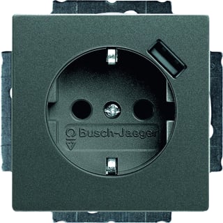 ABB Busch-Jaeger - Wandcontactdoos (WCD schakelmat.) wcd ra kv+usb vdng grs met