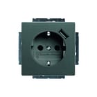 ABB Busch-Jaeger - Wandcontactdoos (WCD schakelmat.) wcd ra kv+usb vdng grs met