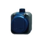 ABB Busch-Jaeger - WDI Wandcontactdoos (WCD schakelmat.) Wcd Ra Kd Opb. Ip66 Ewdi