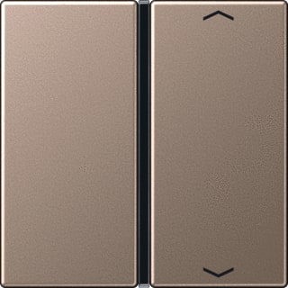 Jung - Bed.element / centr.pl. schakelmat. bedelem afd 1v pijl a500