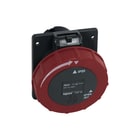 Legrand - Hypra CEE-wandcontactdoos Wcd Cee 440V 32A 3P+A