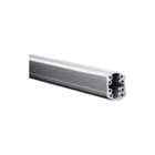 Rittal - CP 60 Draagarmprofiel voor kast/lessenaar Draagprof.Syst. 6206025