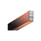 Rittal - SV RiLine Railkoper cuponal rail 20x10  lg2.4