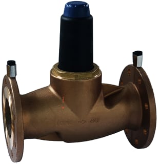 Raminex - Reduceerventiel Drv Serie 6247 Dn65 Flens