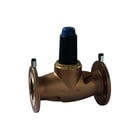 Raminex - Reduceerventiel Drv Serie 6247 Dn65 Flens