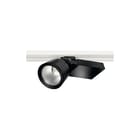 Norton - CALISTO Railspot Downlight/spot/schijnwerper spot calistowww2300