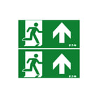 Eaton Blessing - NexiTech Pictogram noodverlichting Nexit Plexkit Led Iso E+E