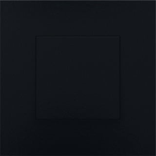 Niko - Home Control Tastsensor bussysteem 200-51001