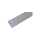 EasyLivingProducts - Trident Oprijhelling Drempelprofl 80X900 Alu