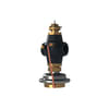 Miniatuur 1