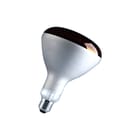 VICTORY - IR-lamp Ir 150W E27 Red Hard Glass