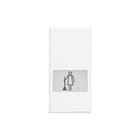Bticino - Axolute Bed.element / centr.pl. schakelmat. bthd4921mr