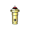 Miniatuur 1