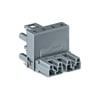 Miniatuur 1