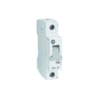 Allen Bradley - Installatieautomaat Inst.Autom C-Kar 1P 10A